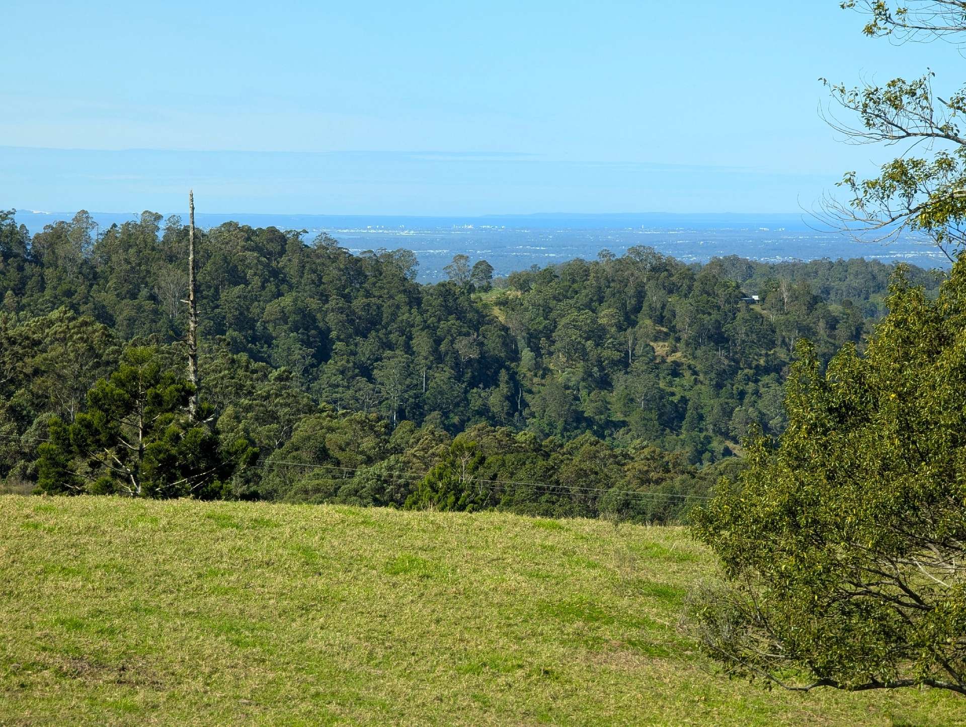 1190 Campbells Pockets Road, Mount Mee For Sale by Farmbuy.com - image 21