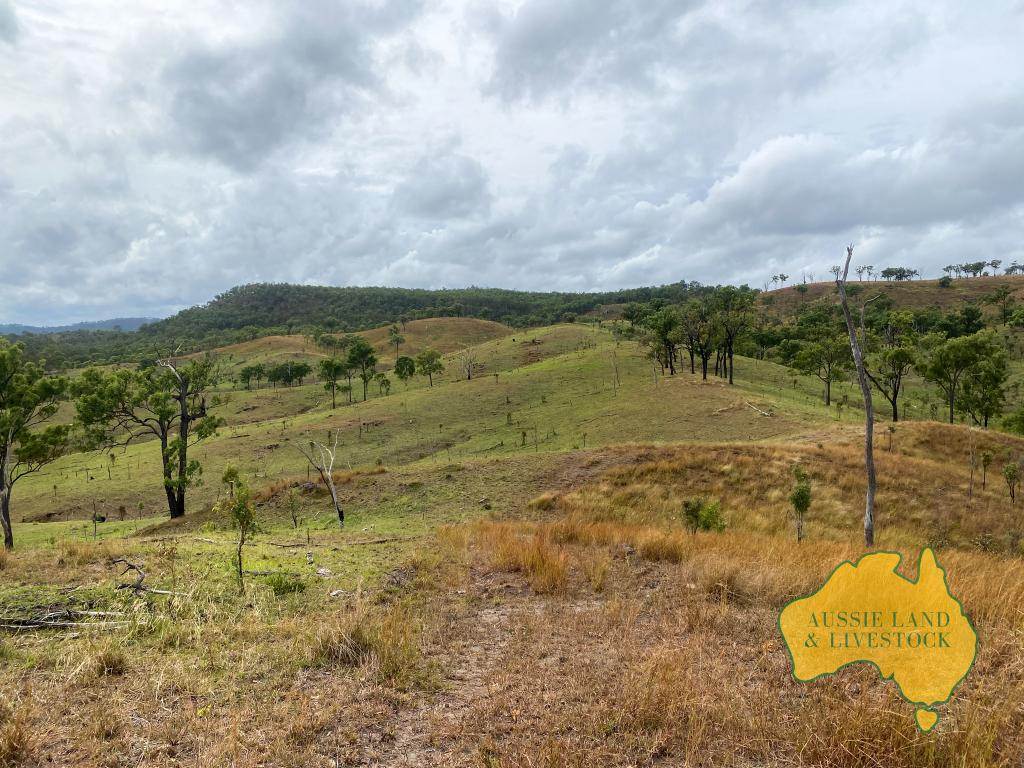 "Sparrows" Monto Mt Perry Road,, Mungy For Sale by Farmbuy.com - image 6