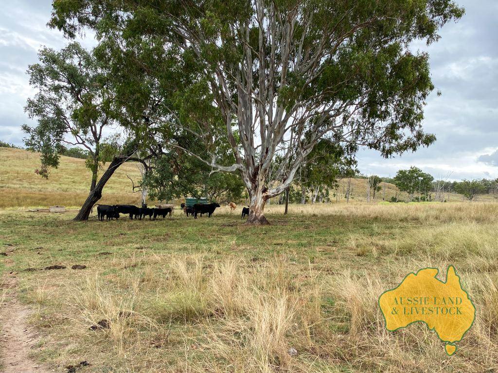 "Sparrows" Monto Mt Perry Road,, Mungy For Sale by Farmbuy.com - image 19