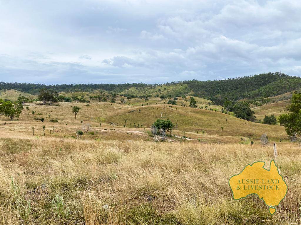 "Sparrows" Monto Mt Perry Road,, Mungy For Sale by Farmbuy.com - image 21