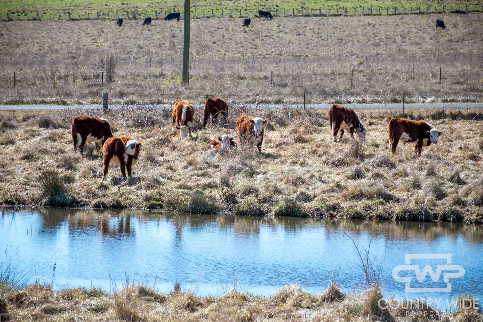 646 Glen Legh Road, Glen Innes For Sale by Farmbuy.com - image 29