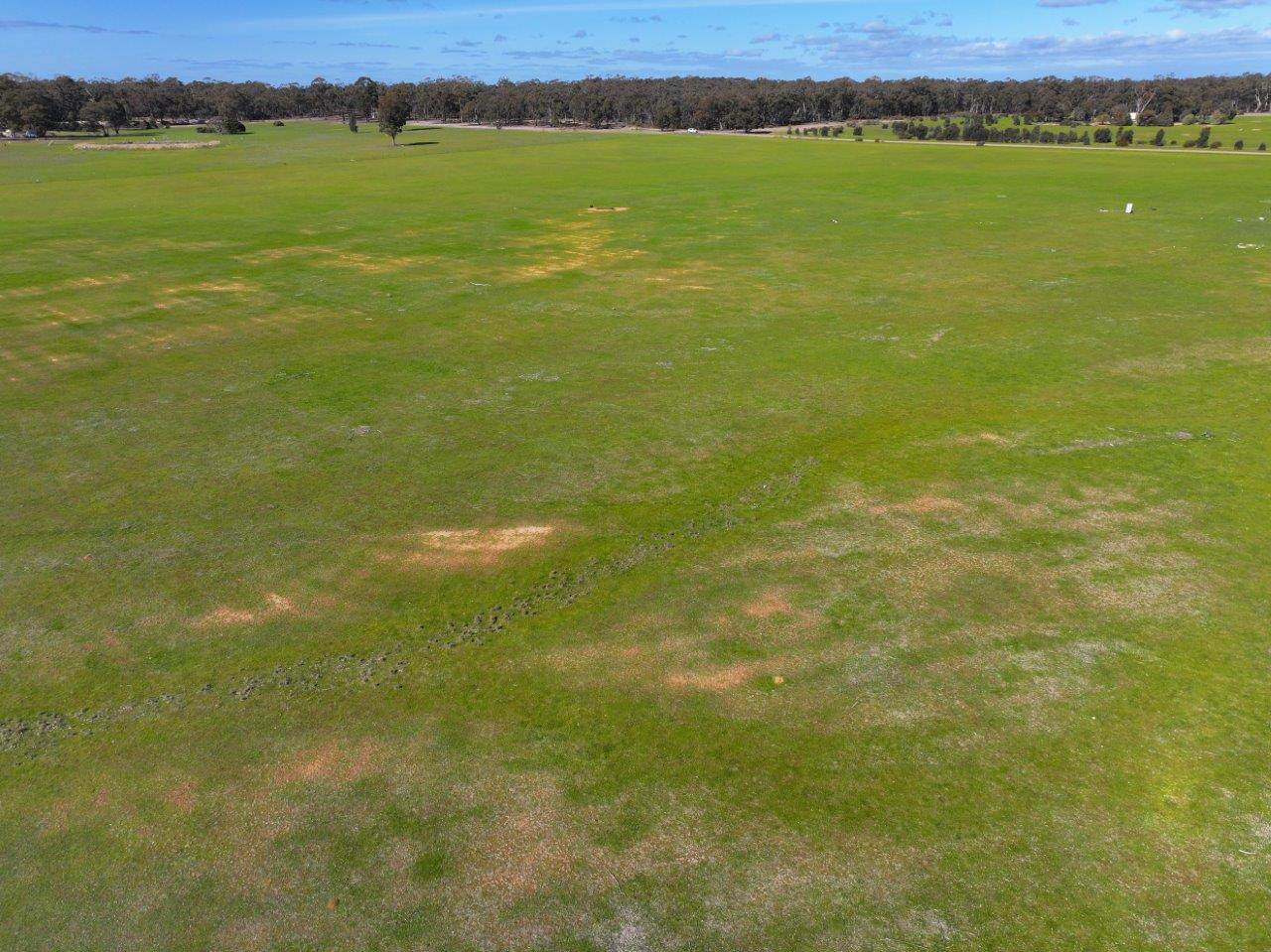 - Arnold West-Inglewood Road, Inglewood For Sale by Farmbuy.com - image 11