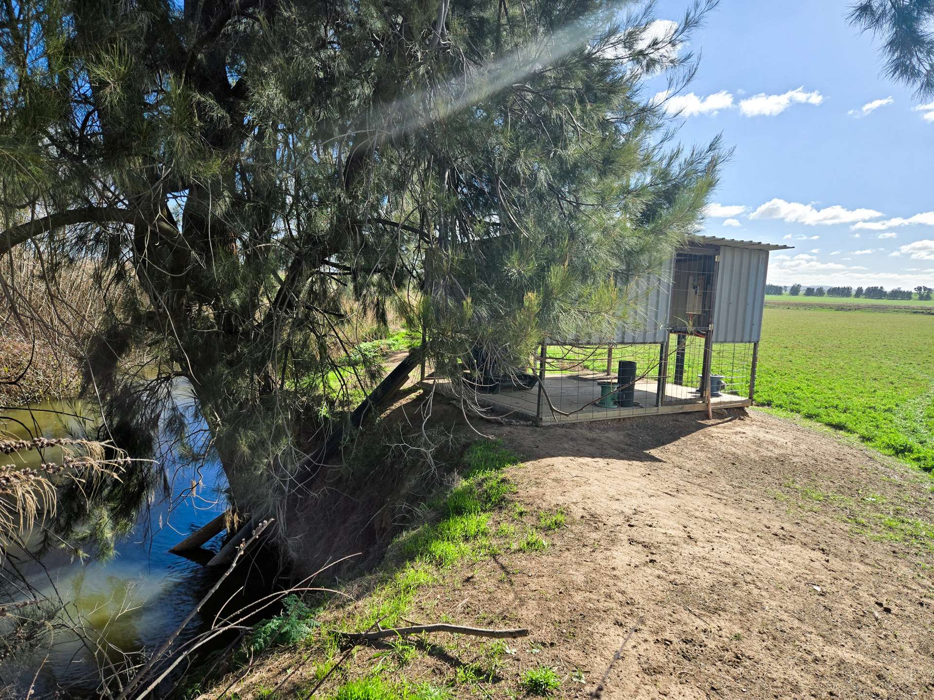 349 Nangar Road, Canowindra For Sale by Farmbuy.com - image 16