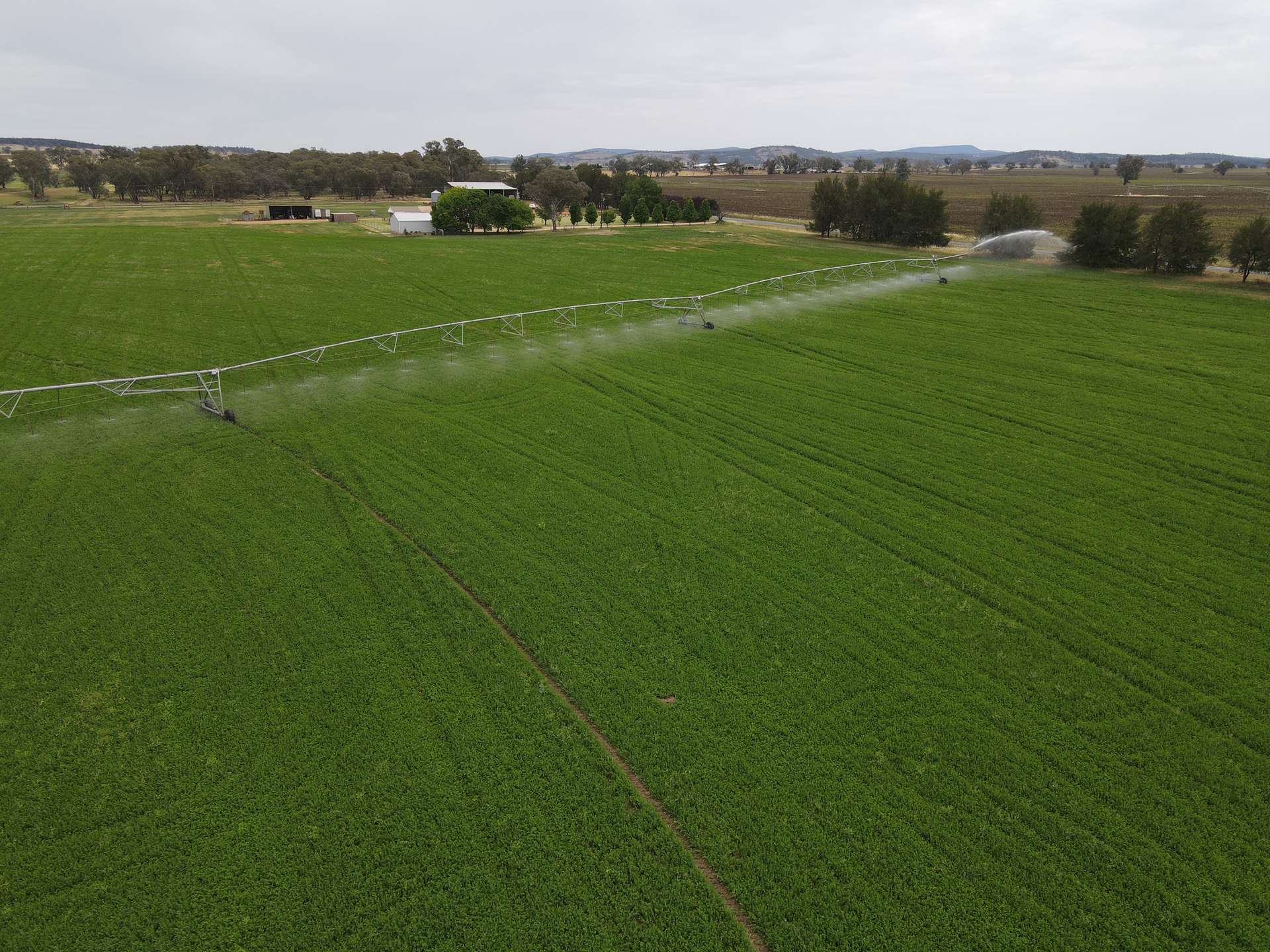 349 Nangar Road, Canowindra For Sale by Farmbuy.com - image 11