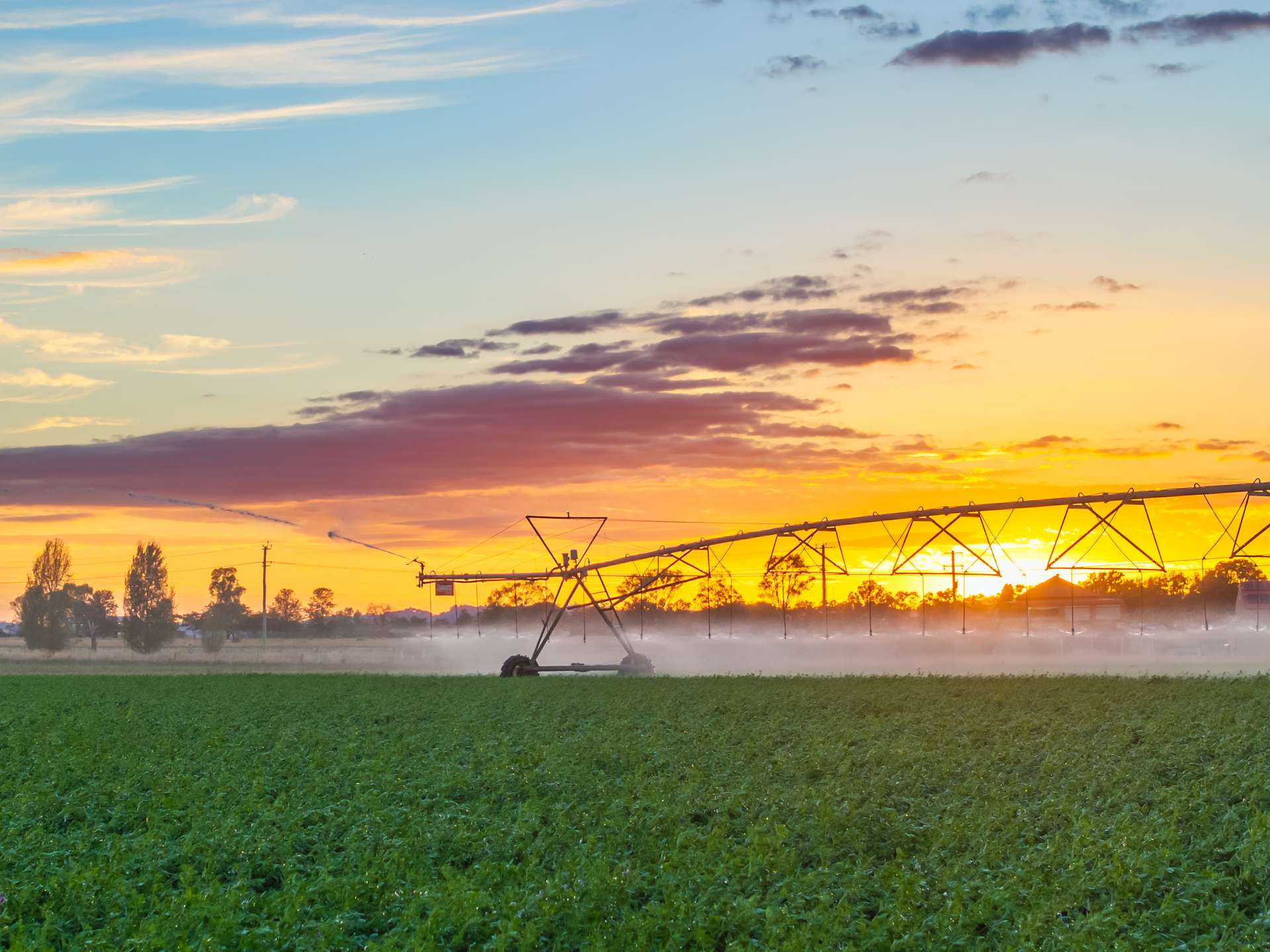 349 Nangar Road, Canowindra For Sale by Farmbuy.com - image 10