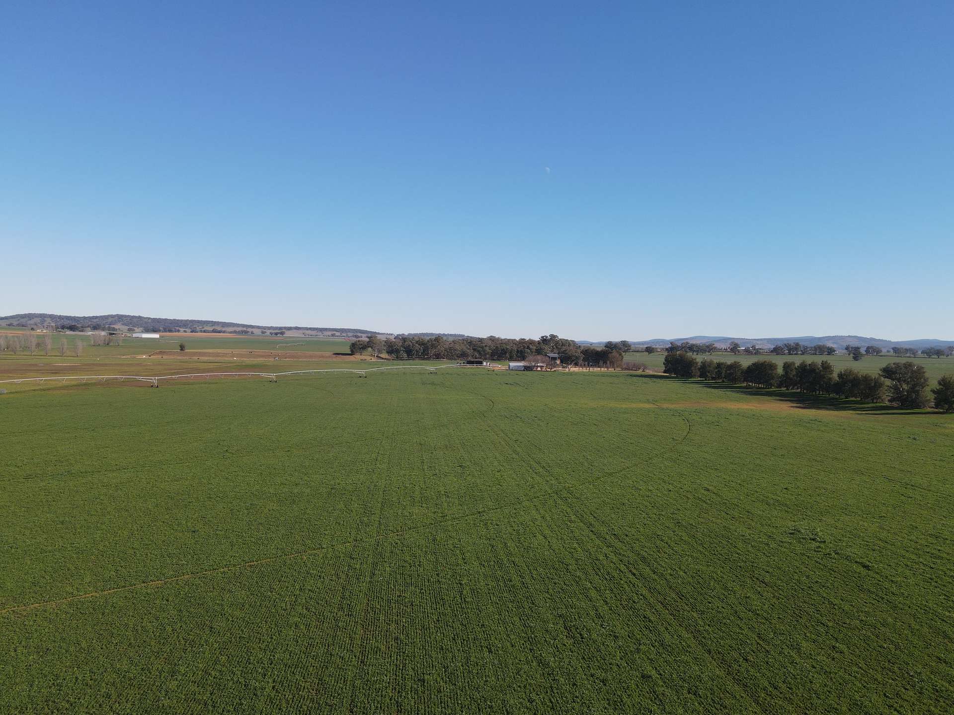 349 Nangar Road, Canowindra For Sale by Farmbuy.com - image 31