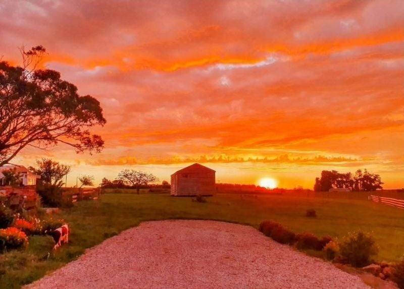 1219 BALLARAT DAYLESFORD Road, Dean Sold by Farmbuy.com - image 29