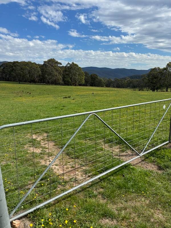 102 Kain Cross Road, Braidwood NSW 2622