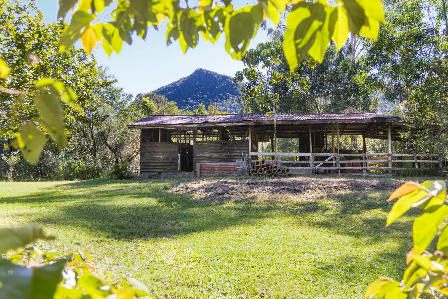 448 Gold Creek Road, Eerwah Vale For Sale by Farmbuy.com - image 18