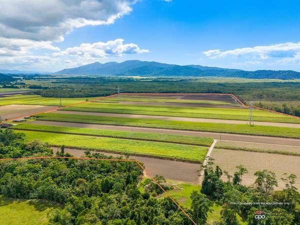 80 Haren Road, Bellenden Ker Sold by Farmbuy.com - image 5