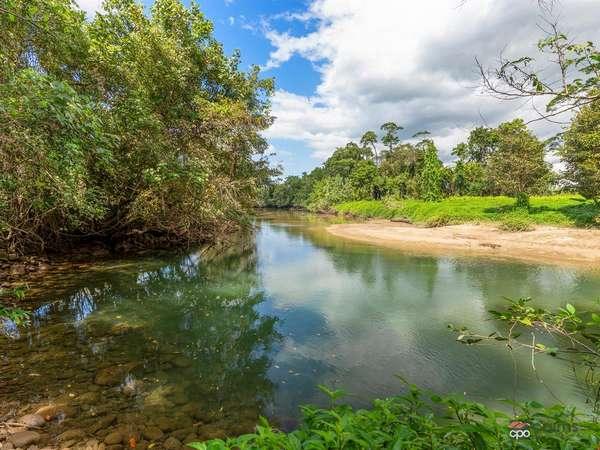 80 Haren Road, Bellenden Ker Sold by Farmbuy.com - image 16