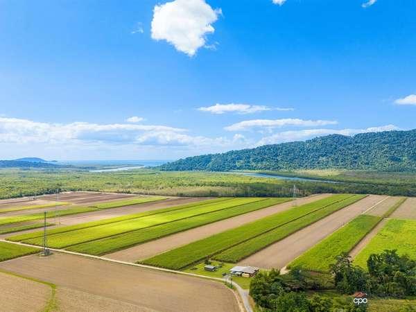 80 Haren Road, Bellenden Ker Sold by Farmbuy.com - image 7