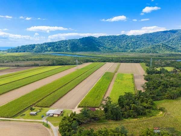 80 Haren Road, Bellenden Ker Sold by Farmbuy.com - image 8