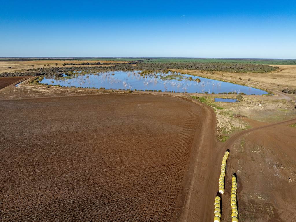 6210 Carnarvon Highway, Thallon QLD 4497