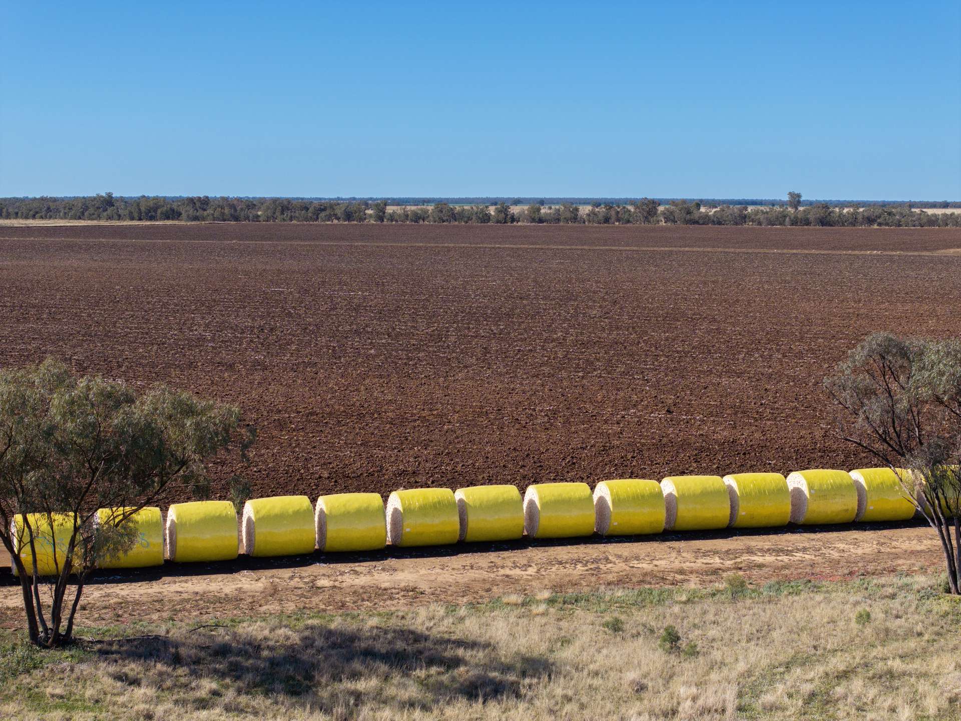 6210 Carnarvon Highway, Thallon For Sale by Farmbuy.com - image 5