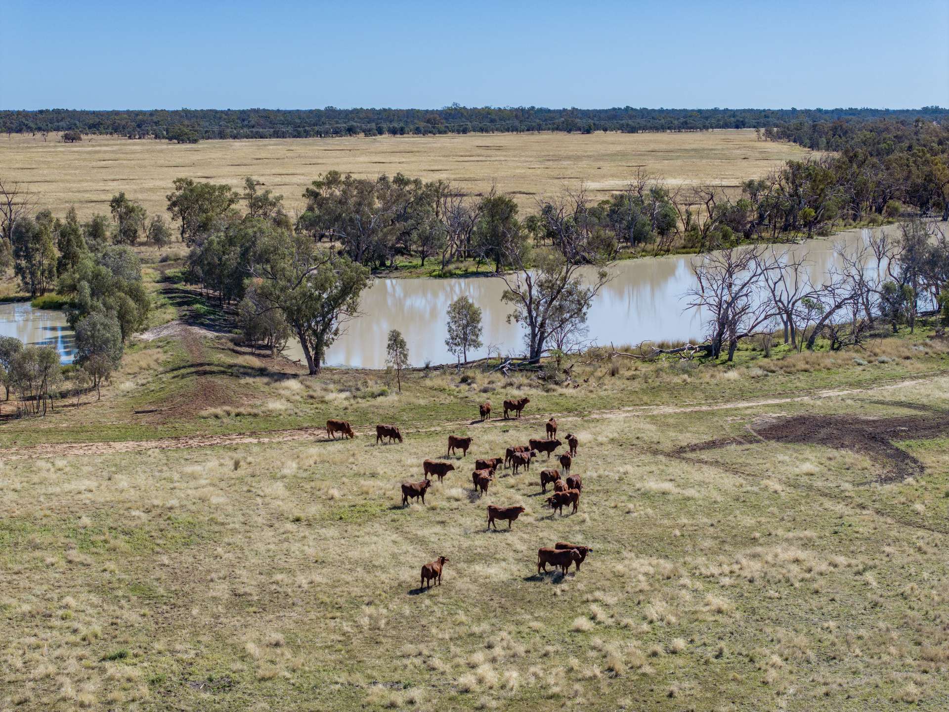 6210 Carnarvon Highway, Thallon For Sale by Farmbuy.com - image 12