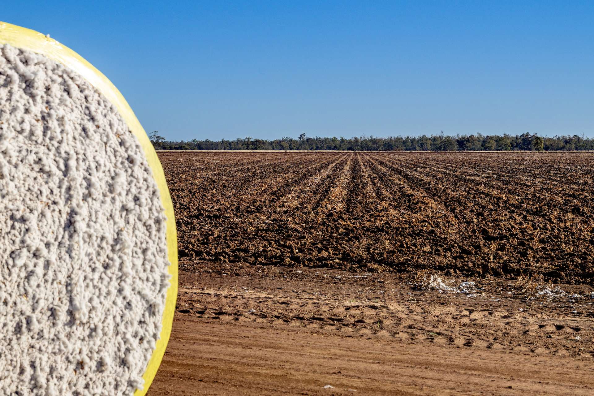 6210 Carnarvon Highway, Thallon For Sale by Farmbuy.com - image 10