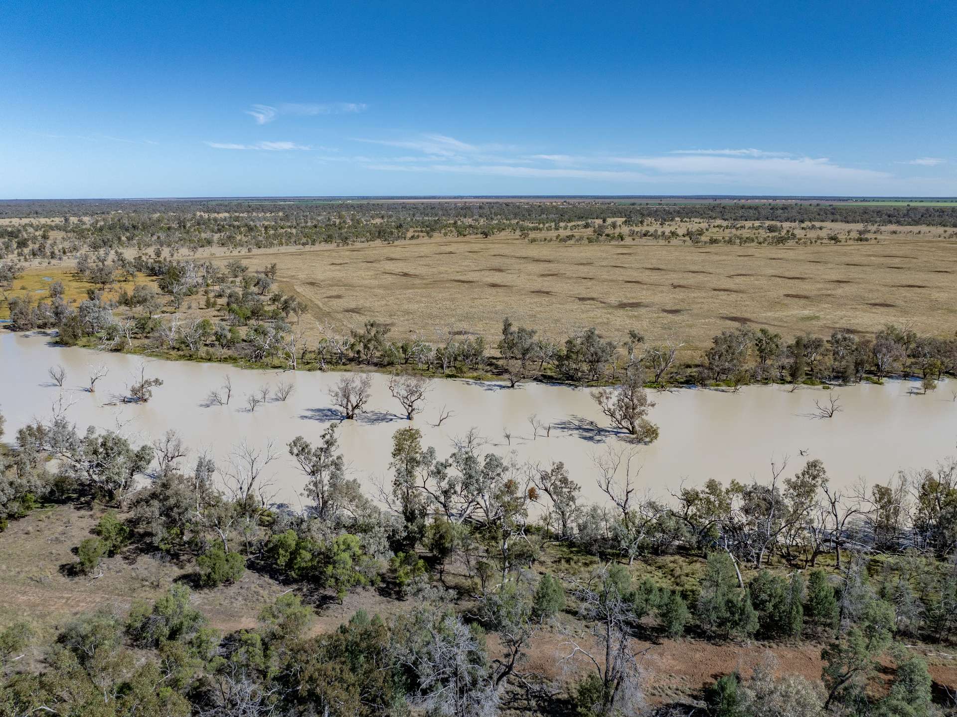 6210 Carnarvon Highway, Thallon For Sale by Farmbuy.com - image 20