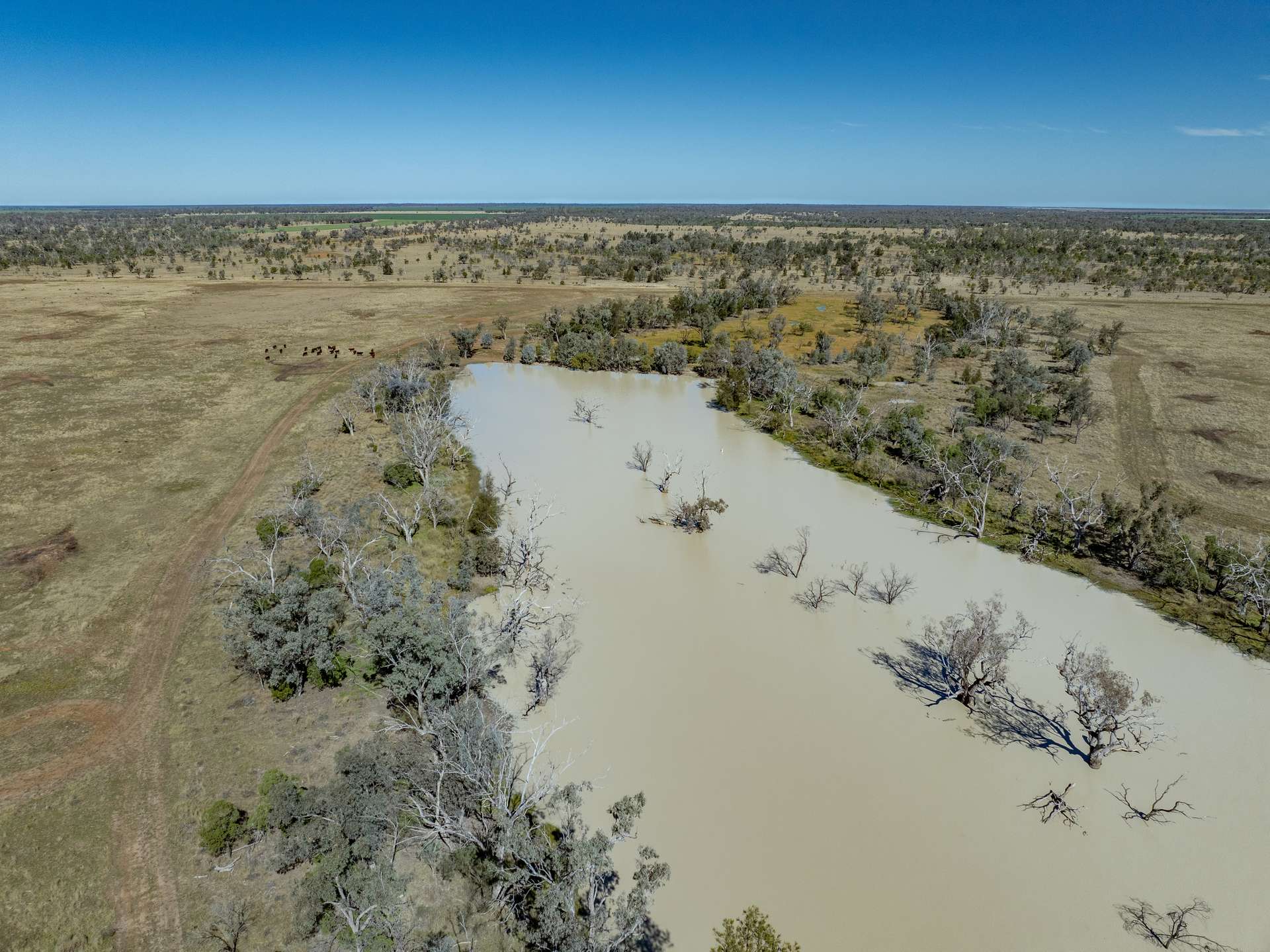 6210 Carnarvon Highway, Thallon For Sale by Farmbuy.com - image 33