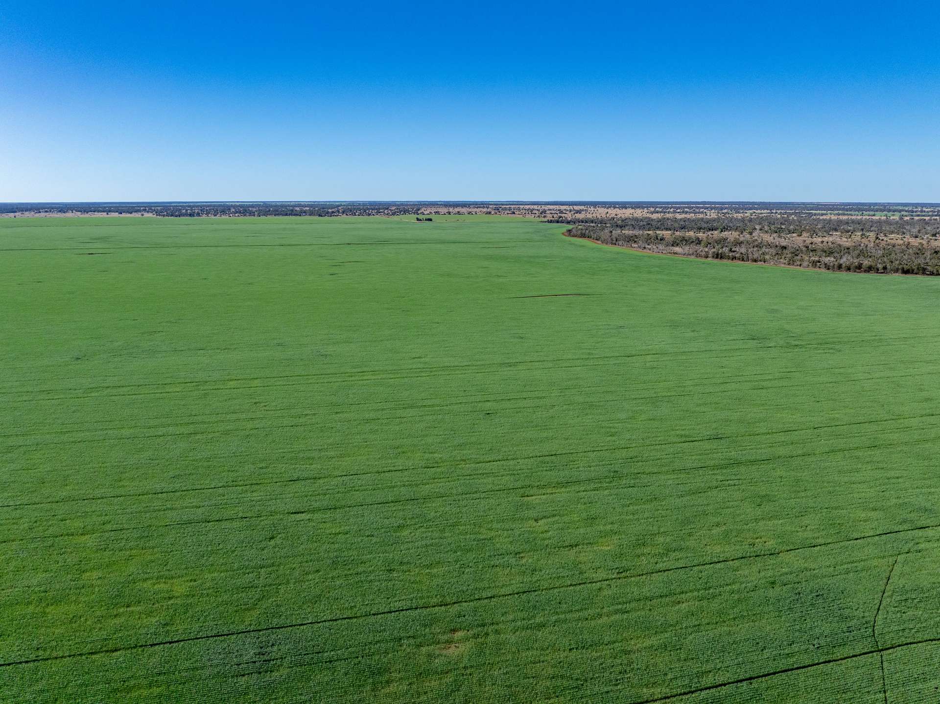 6210 Carnarvon Highway, Thallon For Sale by Farmbuy.com - image 15