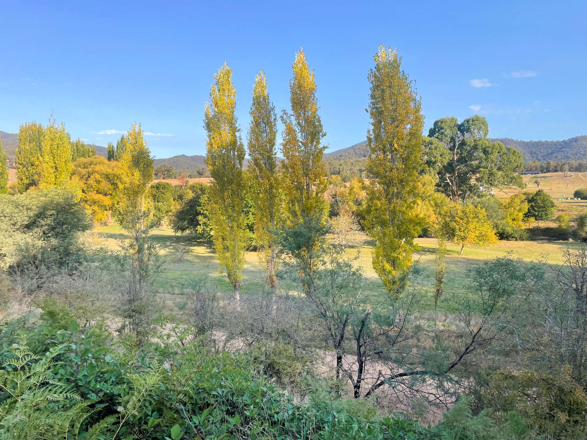 139 The Sideling, Jamieson For Sale by Farmbuy.com - image 14
