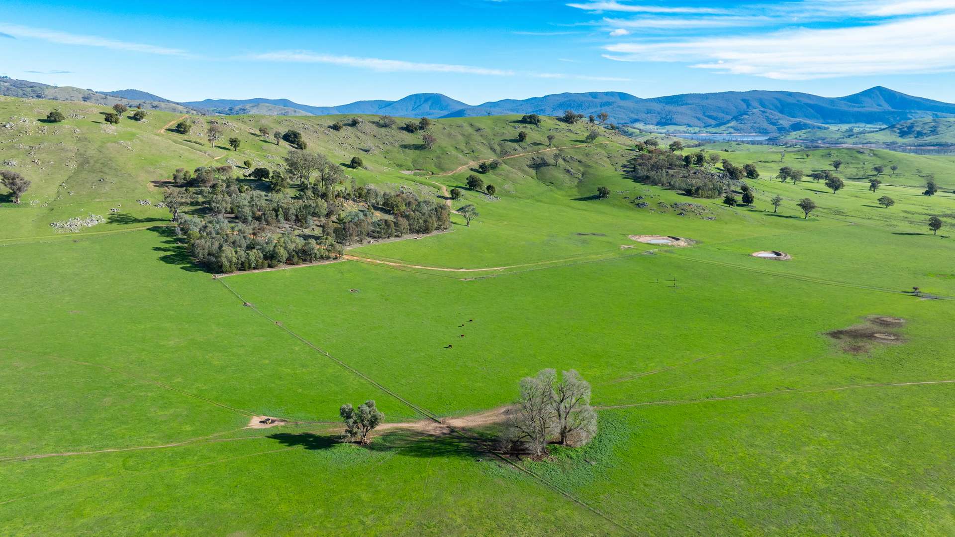 3972 Murray River Road, Bungil For Sale by Farmbuy.com - image 27
