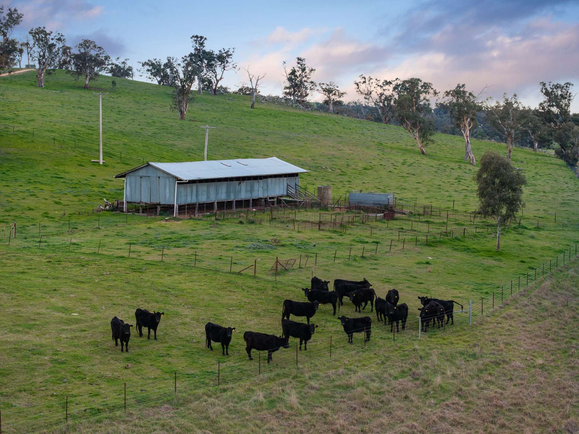 "Garratt" 597 Garratt Road, Jugiong For Sale by Farmbuy.com - image 20