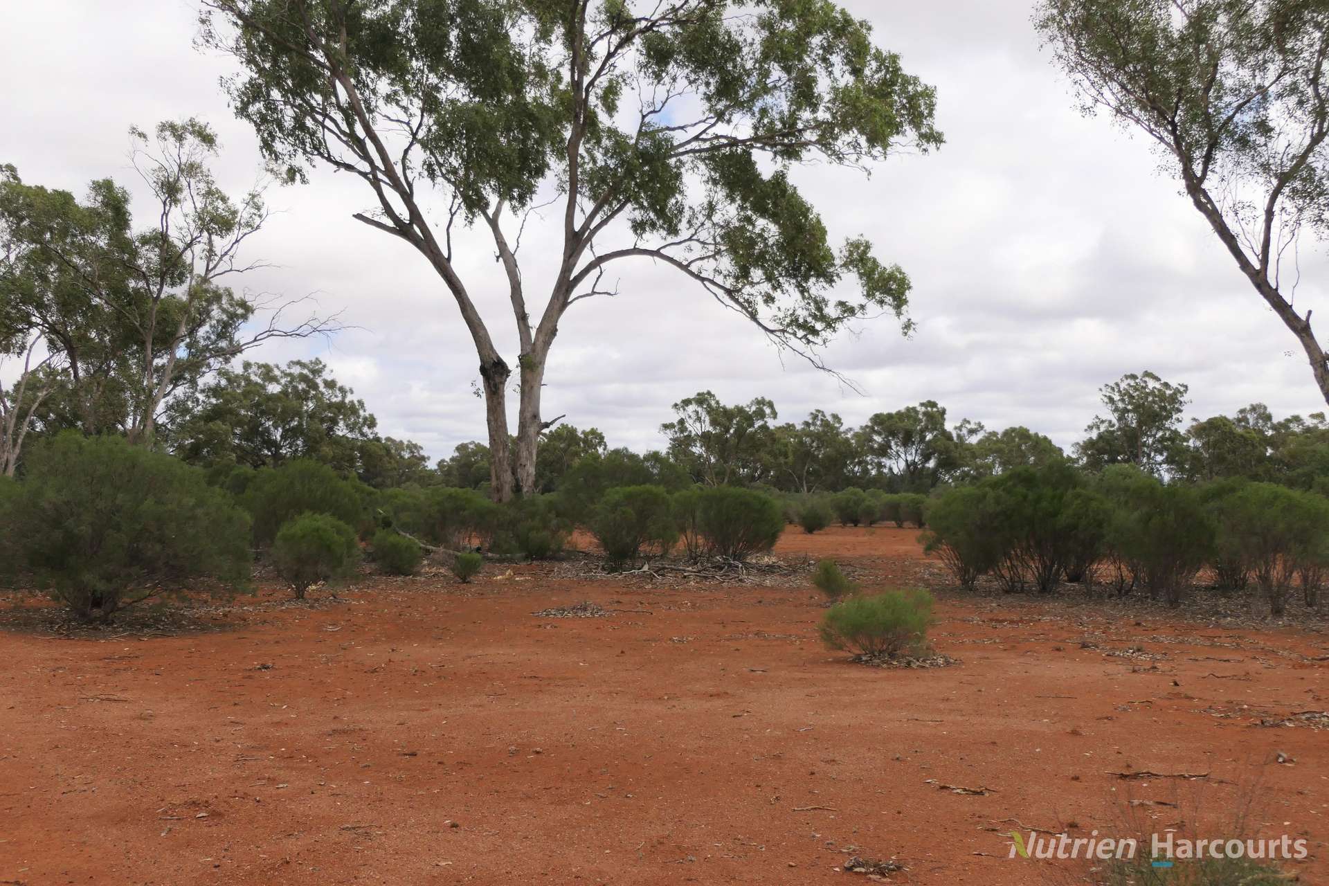 * YARRANVALE, Nymagee For Sale by Farmbuy.com - image 10