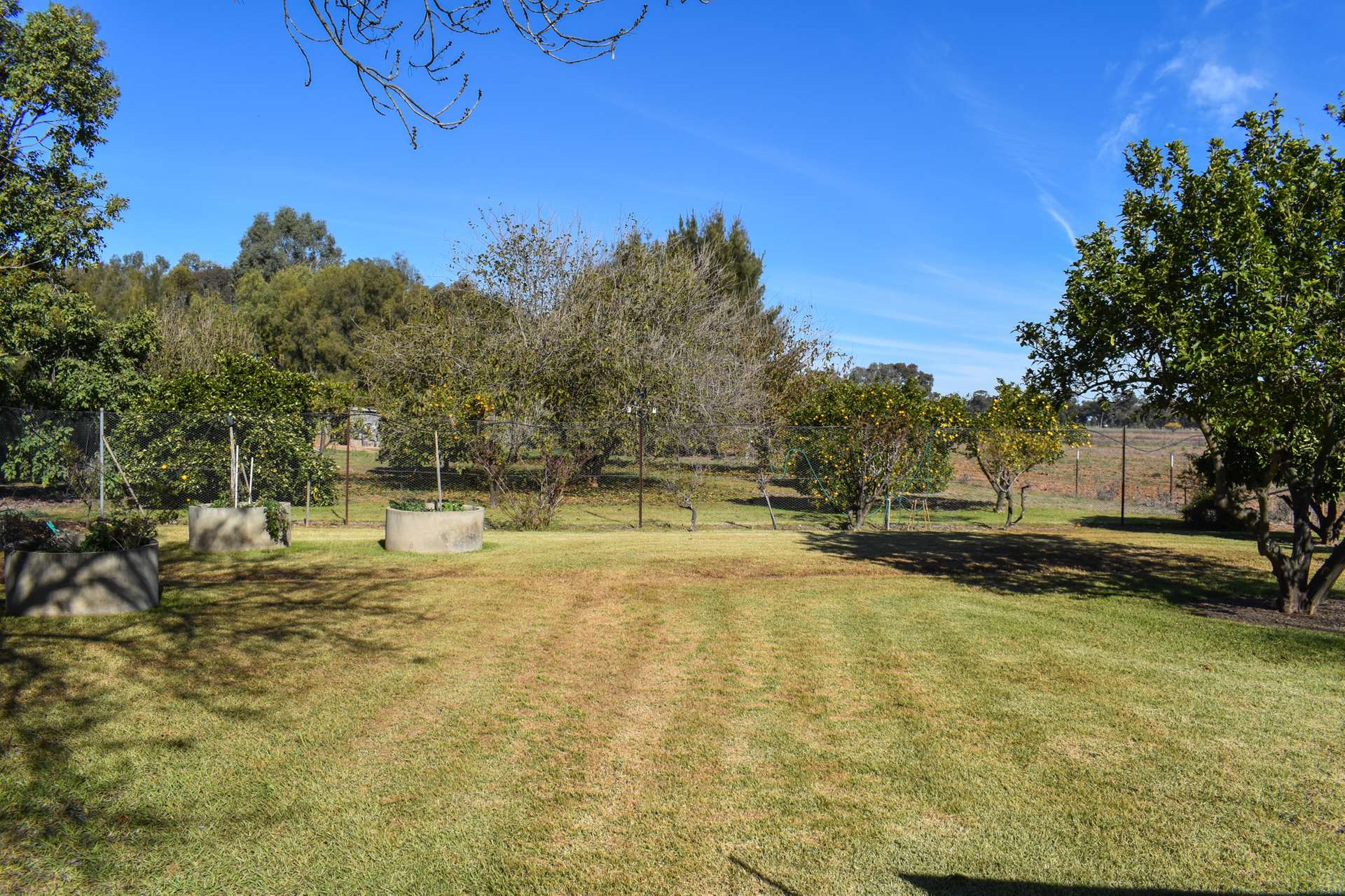 194 South Lead Road, Forbes For Sale by Farmbuy.com - image 11