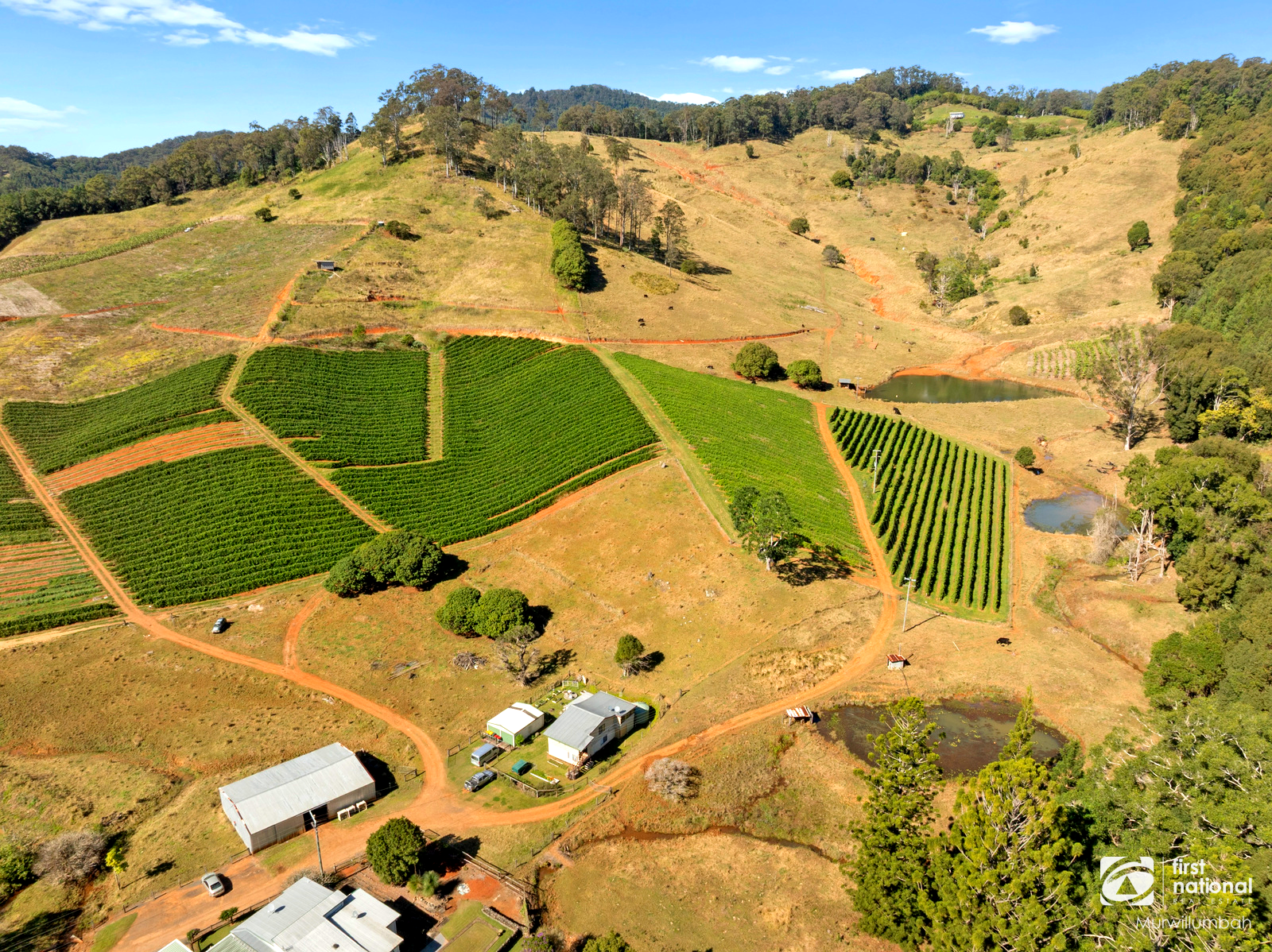 517 Upper Burringbar, Upper Burringbar For Sale by Farmbuy.com - image 10