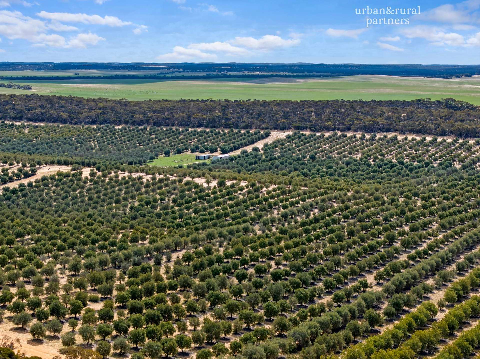 1575 Kringin Road, Karte For Sale by Farmbuy.com - image 19