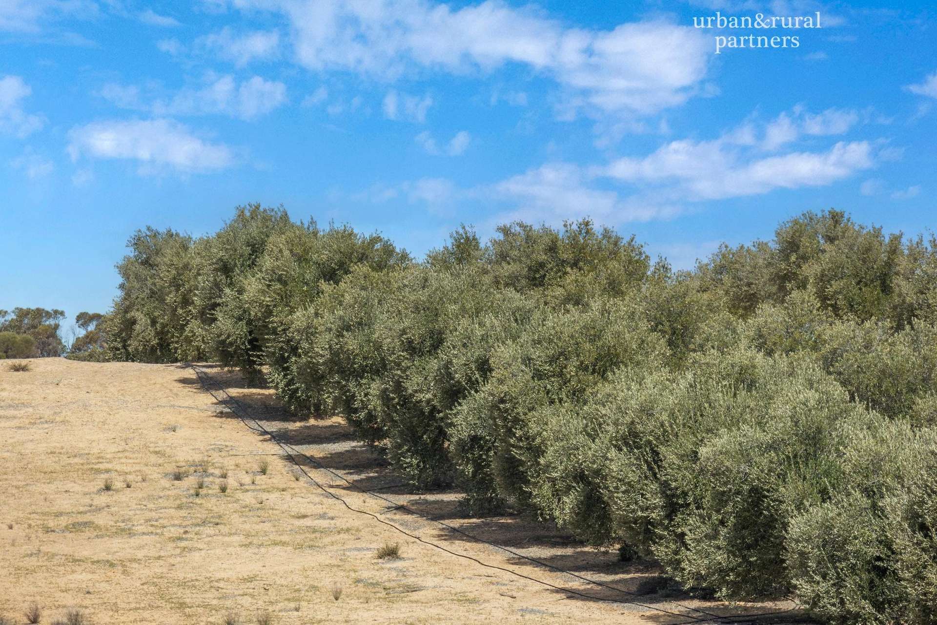 1575 Kringin Road, Karte For Sale by Farmbuy.com - image 4