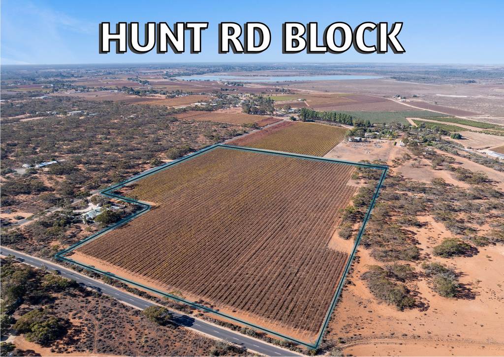 277a Winkie Road, Winkie SA 5343