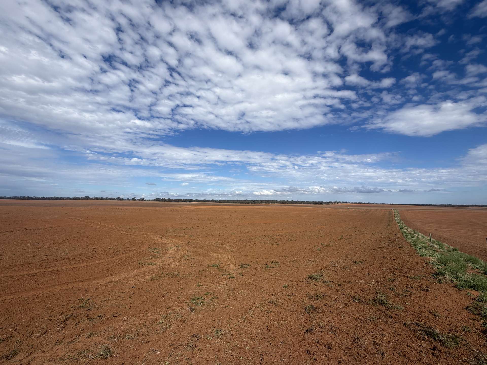1719 New Well Road, Waikerie For Sale by Farmbuy.com - image 4