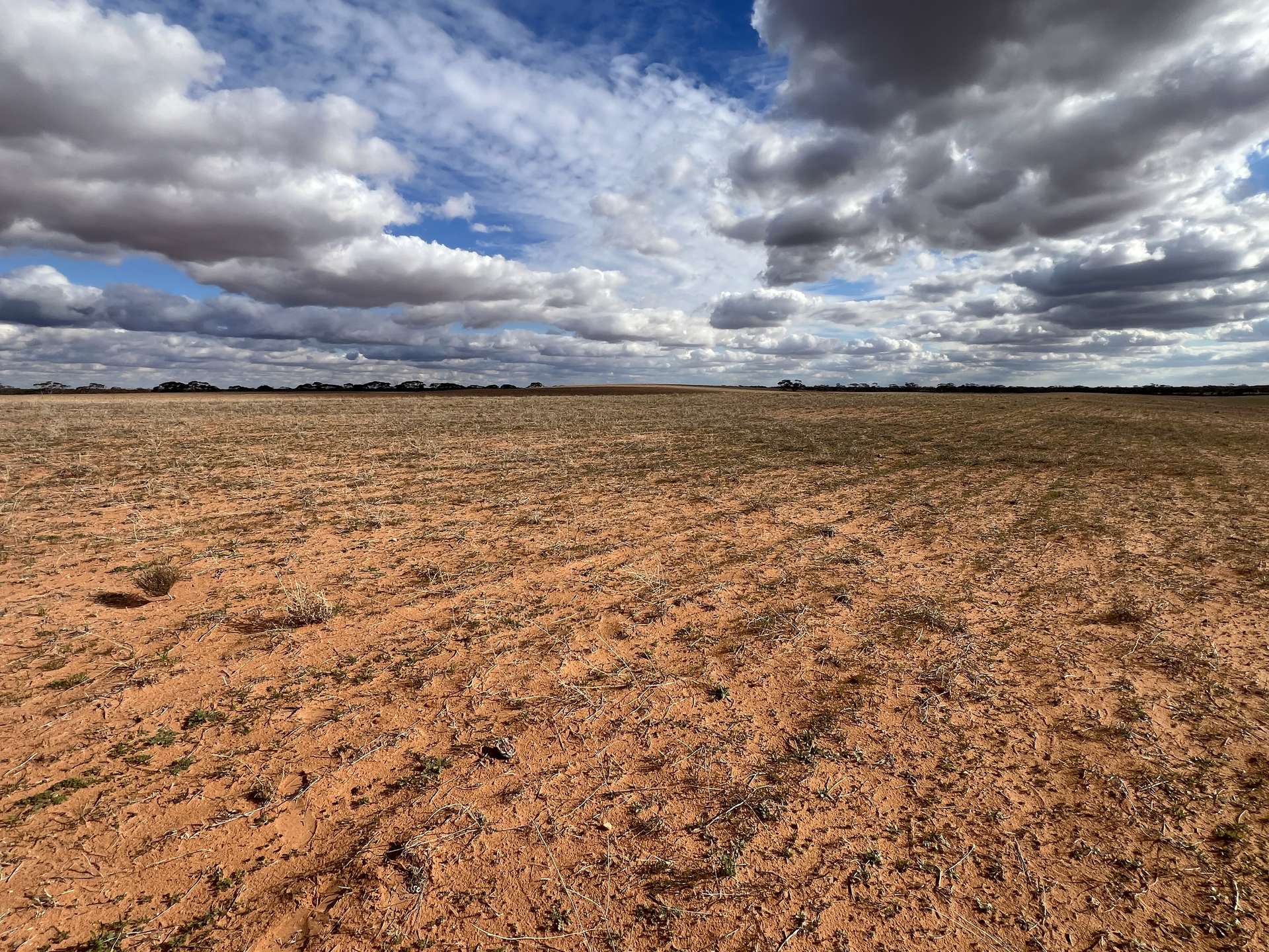 1719 New Well Road, Waikerie For Sale by Farmbuy.com - image 16