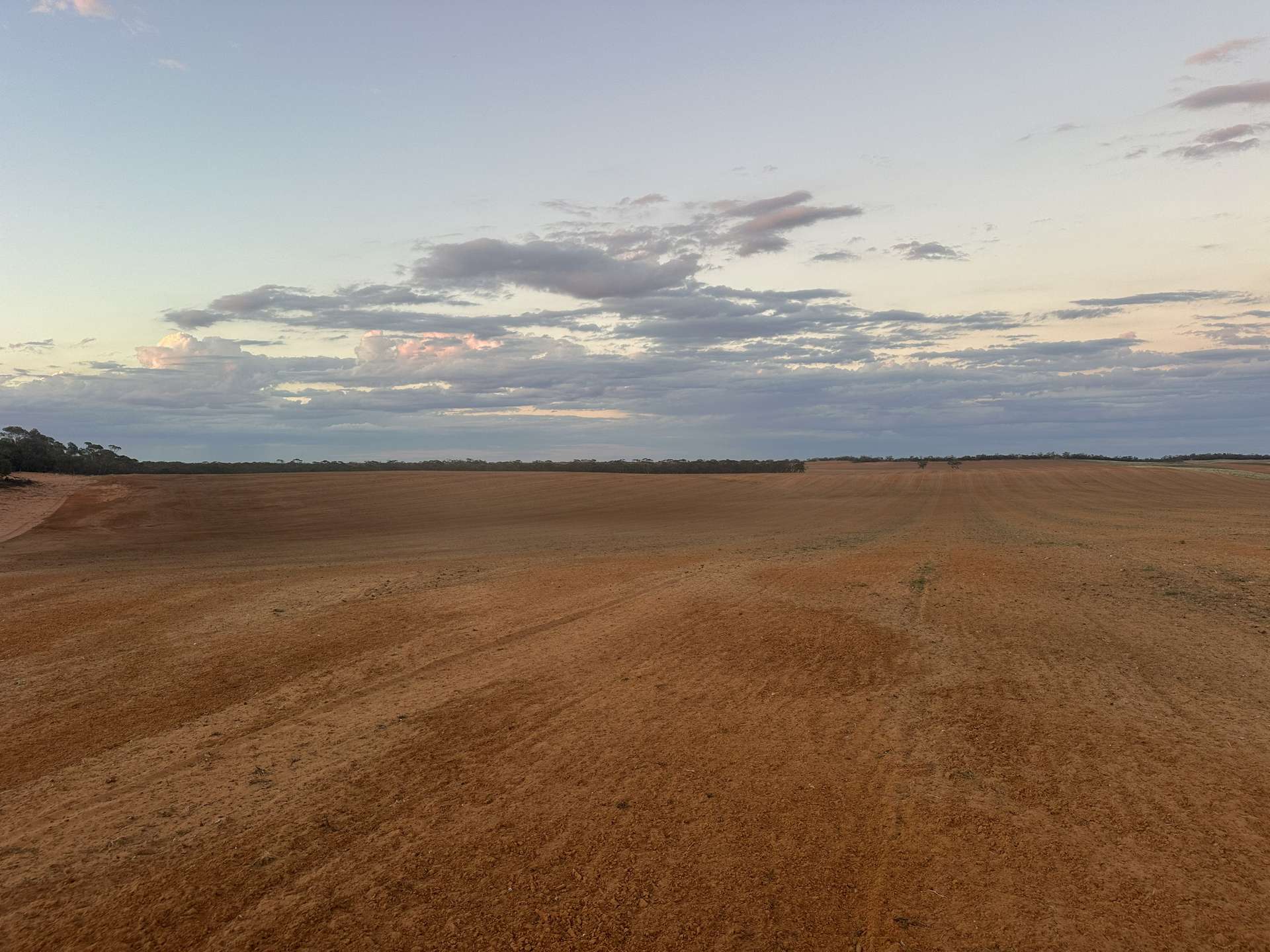 1719 New Well Road, Waikerie For Sale by Farmbuy.com - image 6