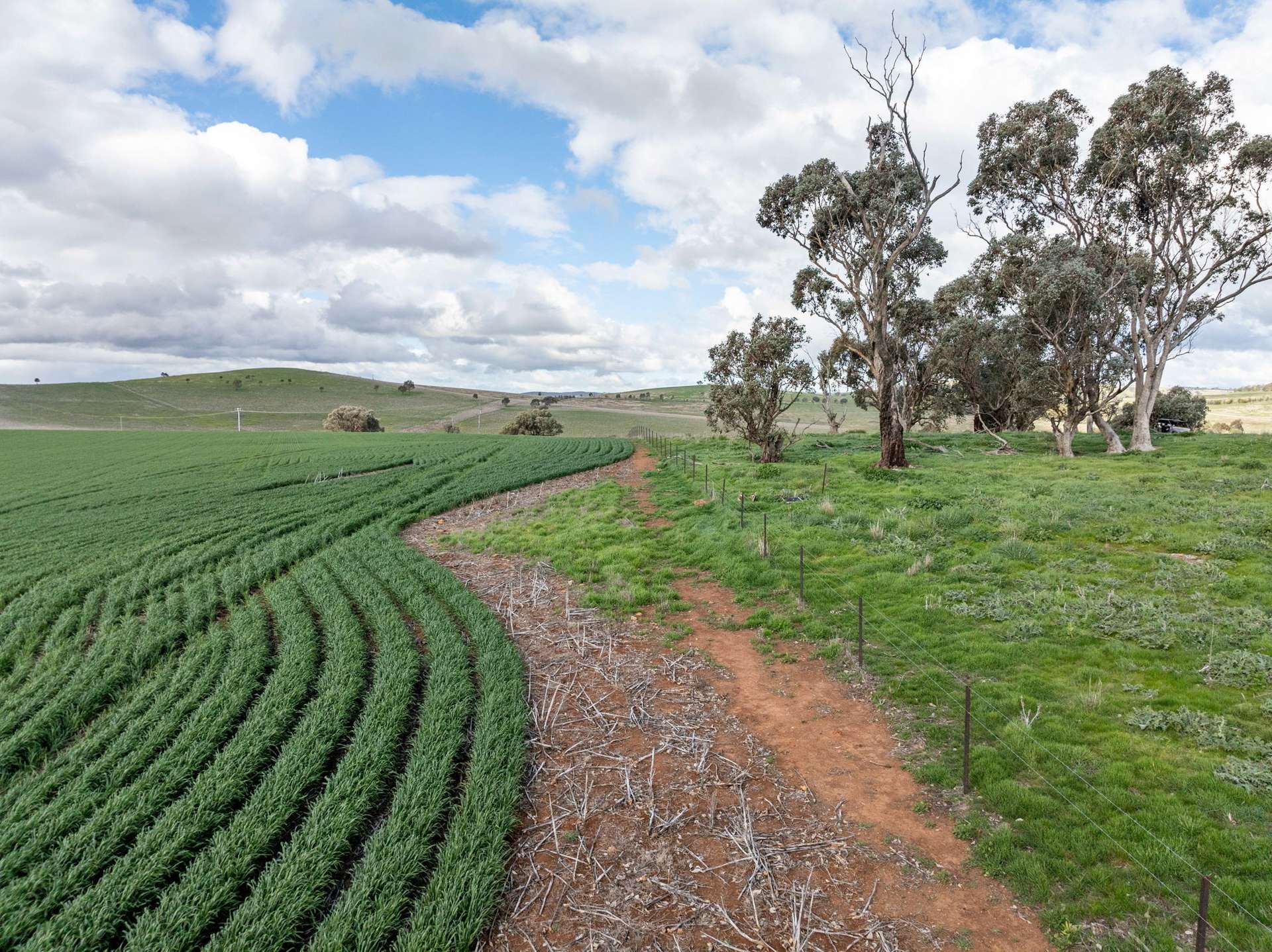 'Darmody's', 969 Brial Rd, Boorowa For Sale by Farmbuy.com - image 24