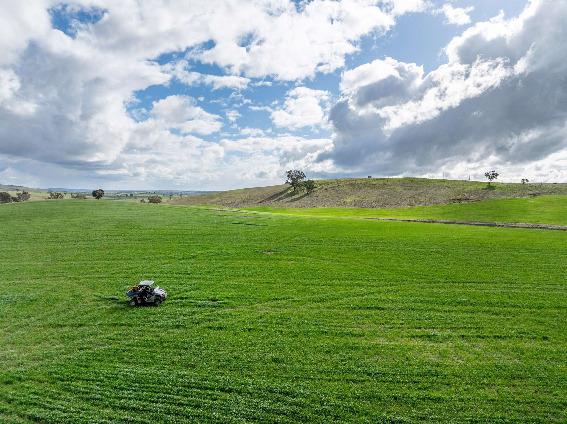 'Darmody's', 969 Brial Rd, Boorowa For Sale by Farmbuy.com - image 6