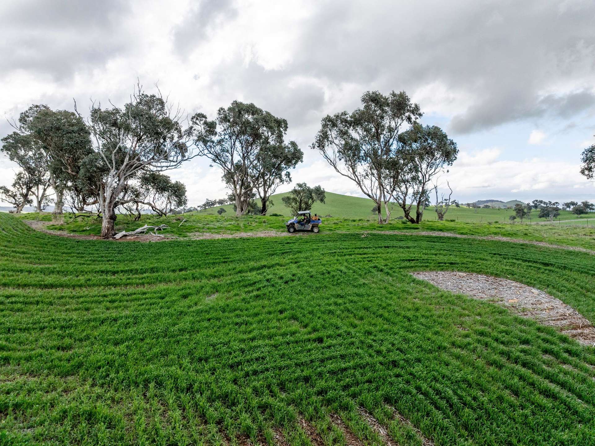 'Darmody's', 969 Brial Rd, Boorowa For Sale by Farmbuy.com - image 23