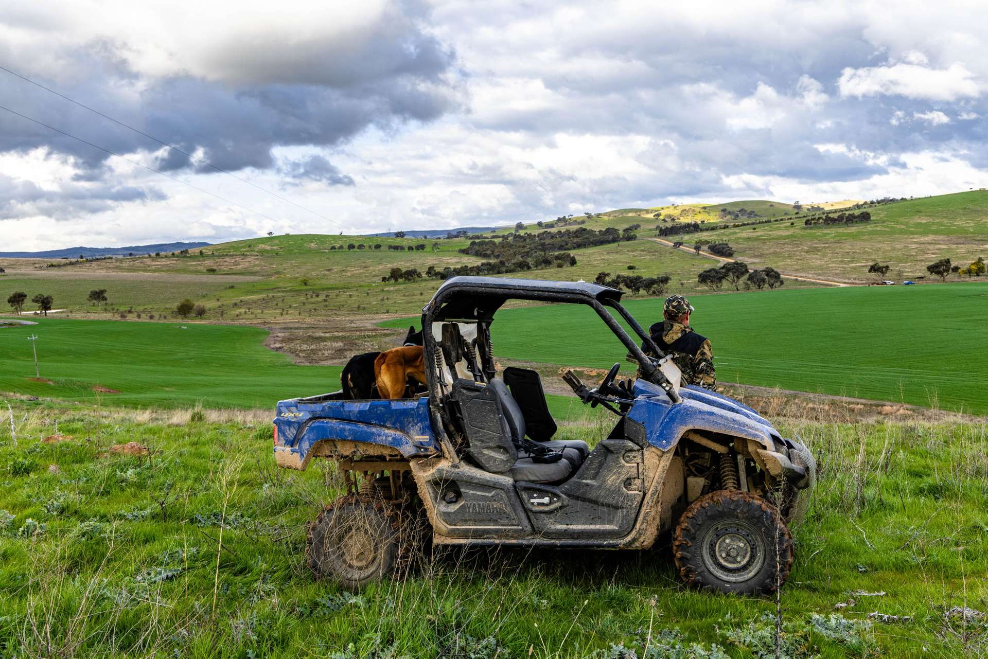 'Darmody's', 969 Brial Rd, Boorowa For Sale by Farmbuy.com - image 16