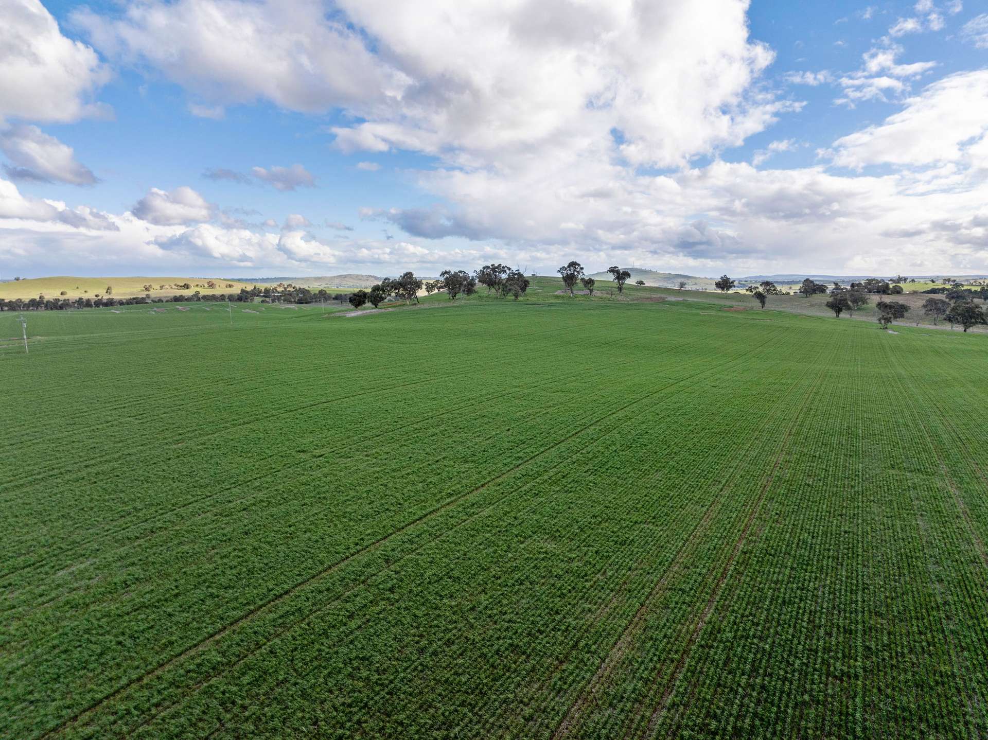 'Darmody's', 969 Brial Rd, Boorowa For Sale by Farmbuy.com - image 9