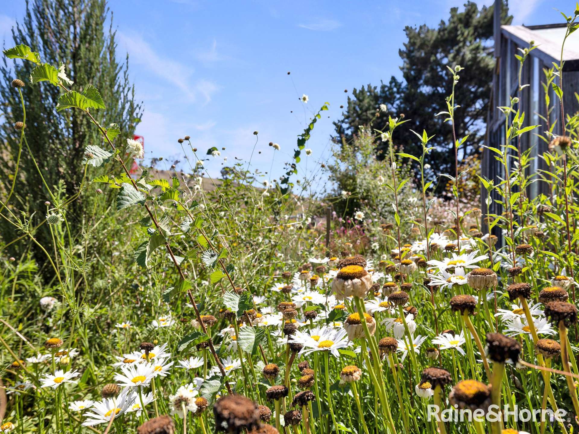 720 Vale Road, Orton Park For Sale by Farmbuy.com - image 24