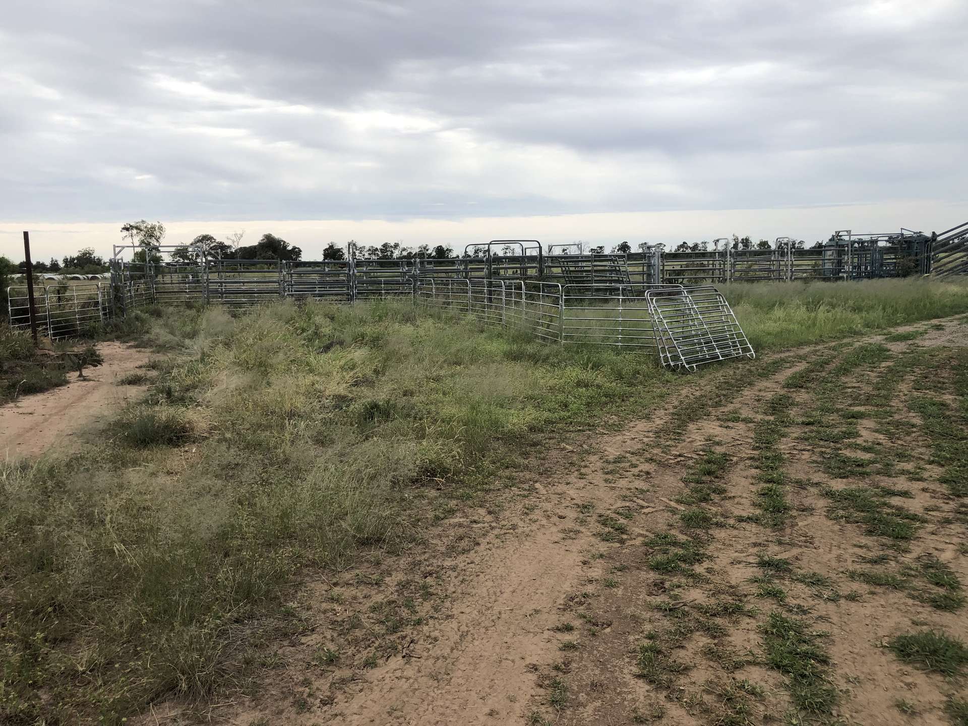 31850 Cunningham Highway, Goondiwindi For Sale by Farmbuy.com - image 4