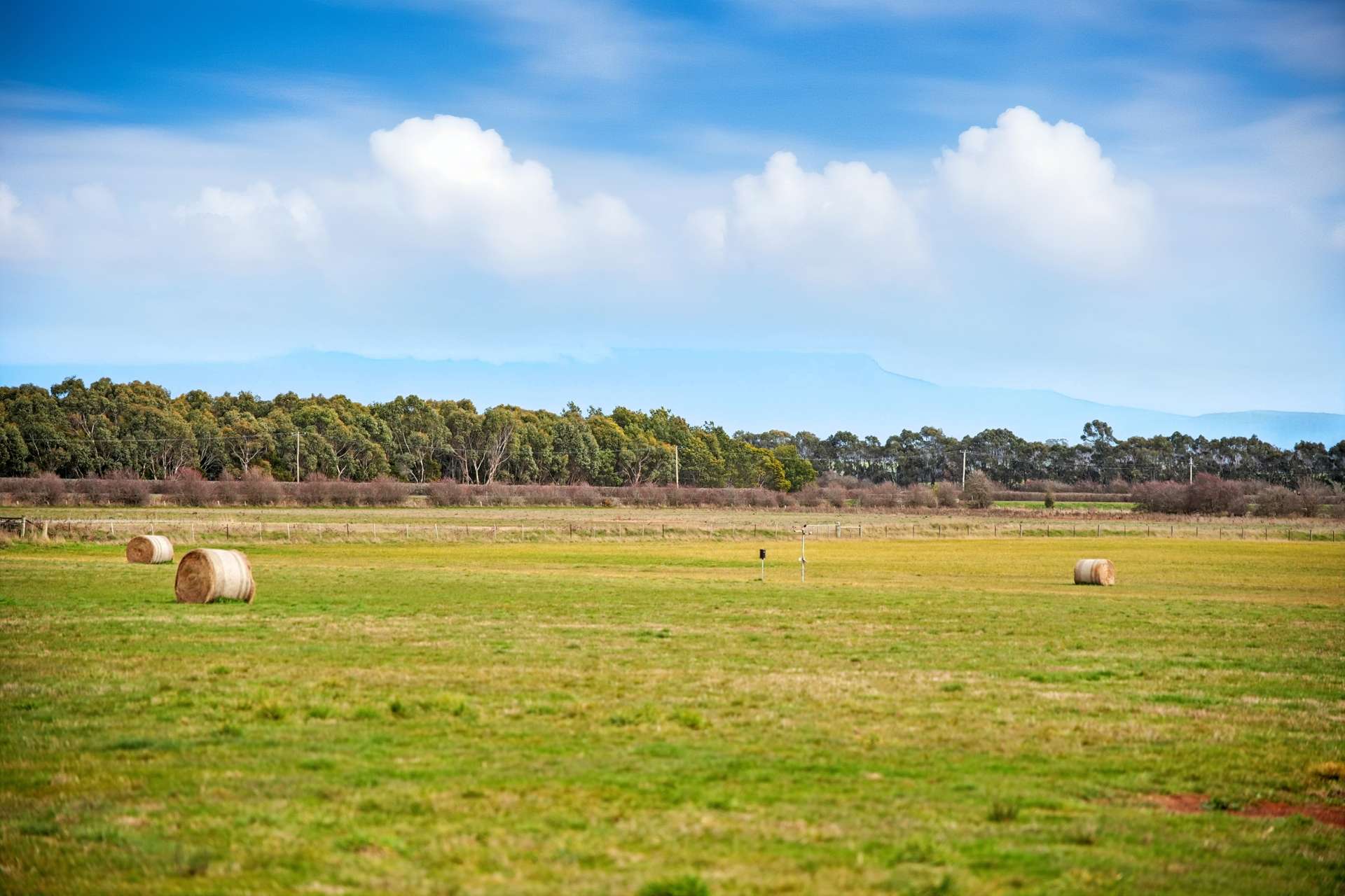 26 Wilmores Lane, Longford For Sale by Farmbuy.com - image 5