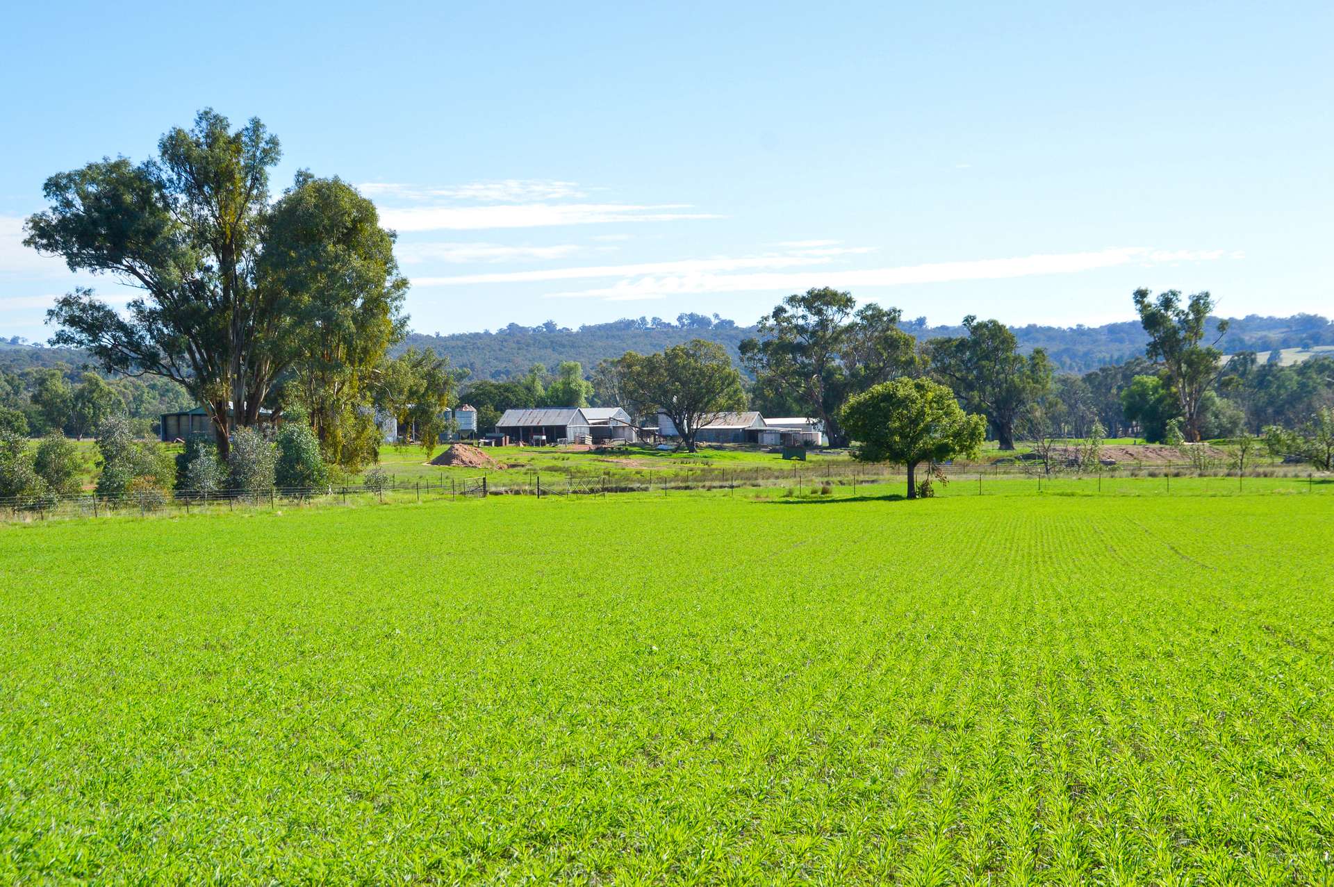 25 Wrigleys Road, Big Springs For Sale by Farmbuy.com - image 3