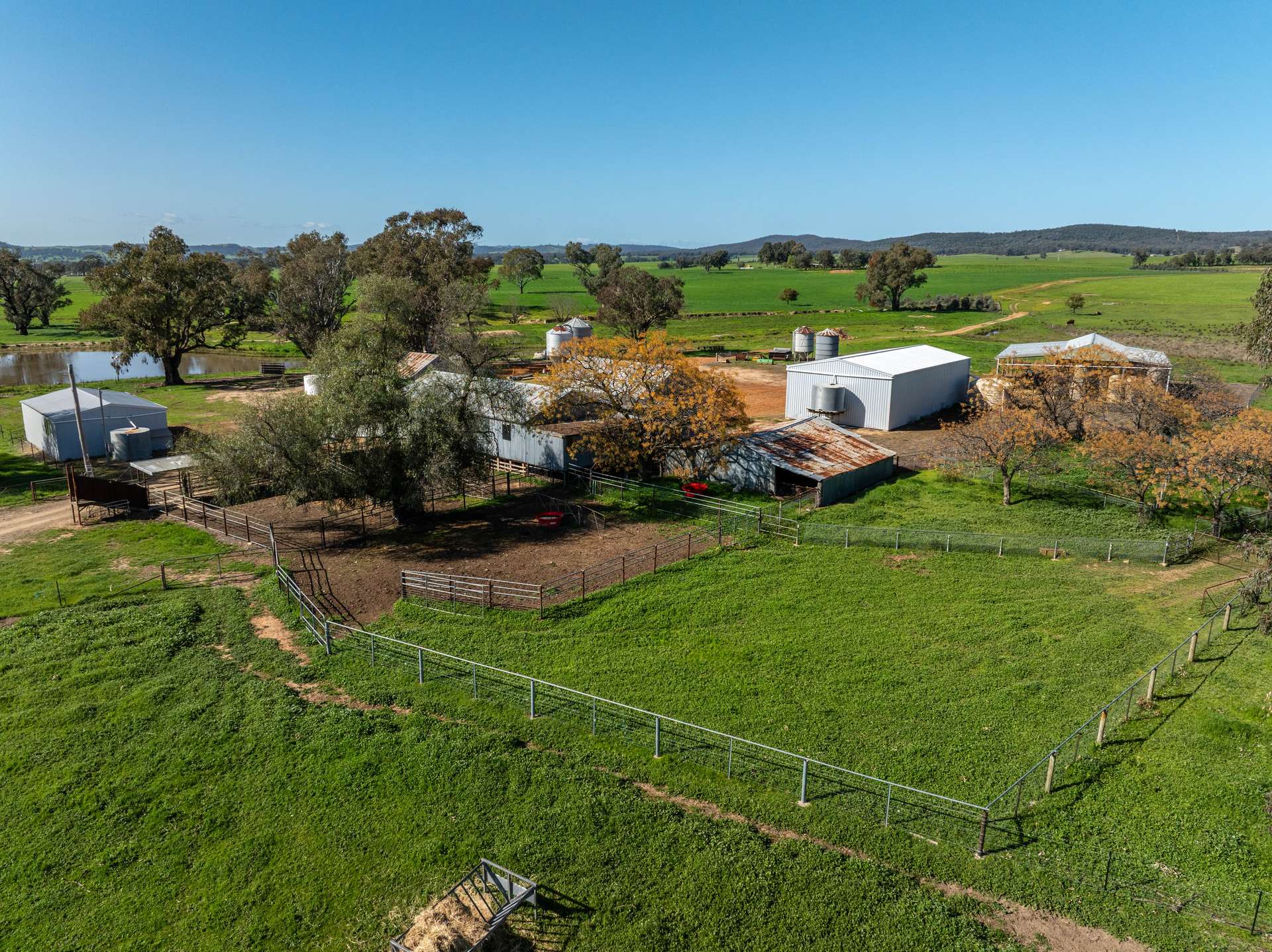 25 Wrigleys Road, Big Springs For Sale by Farmbuy.com - image 28