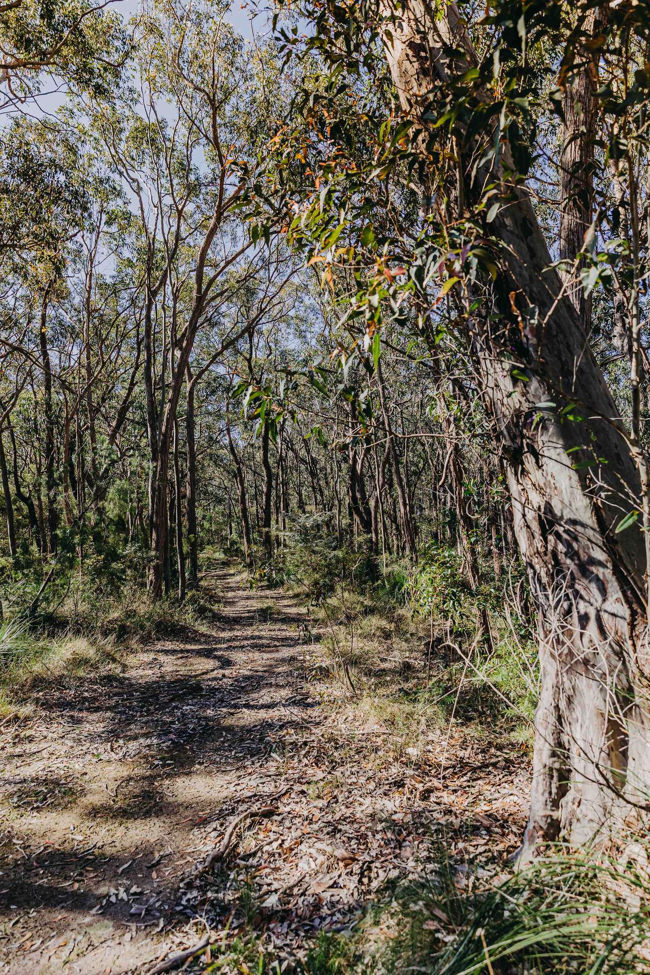 23 Uffington Road, Duns Creek For Sale by Farmbuy.com - image 18