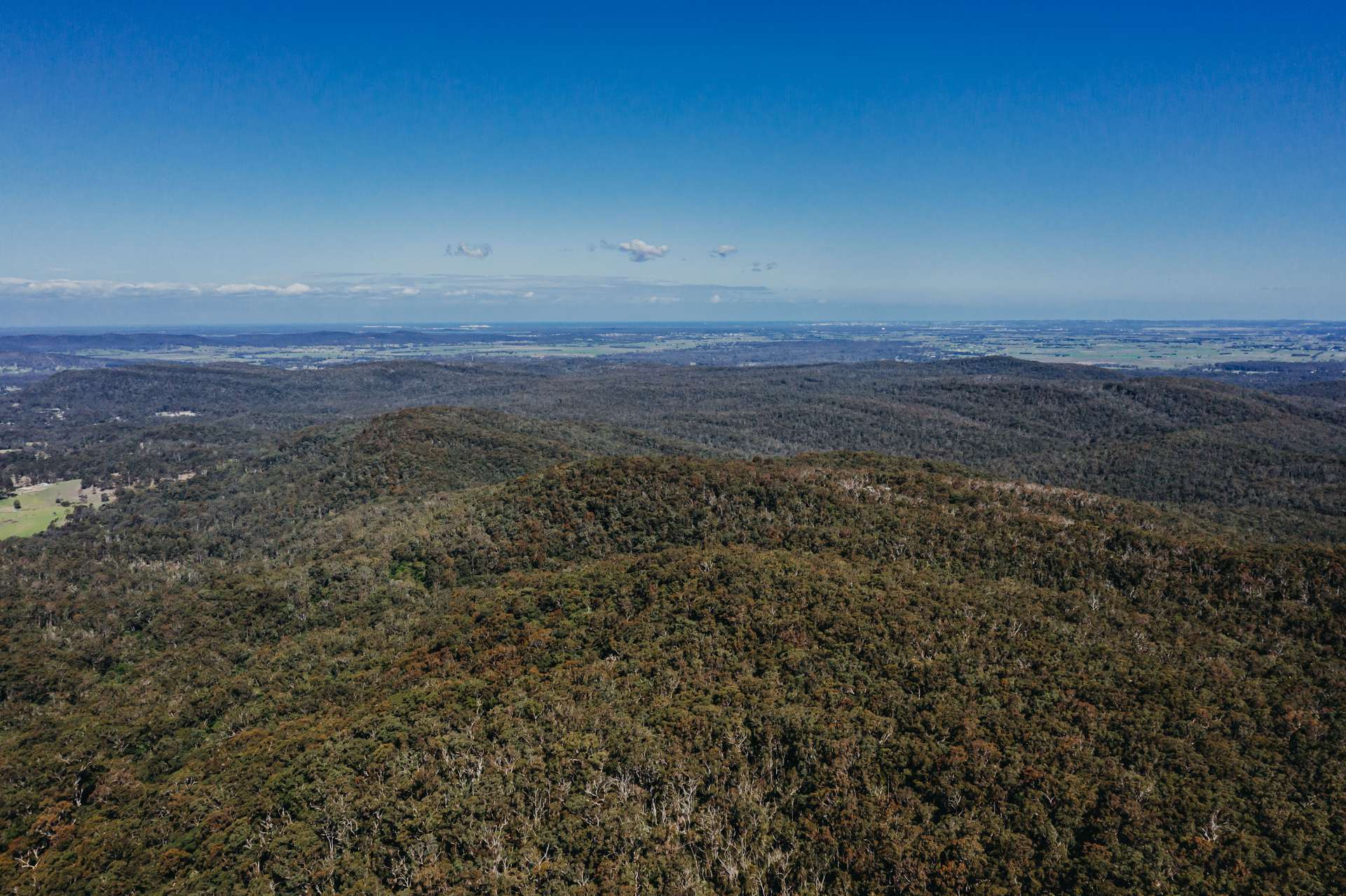 23 Uffington Road, Duns Creek For Sale by Farmbuy.com - image 4