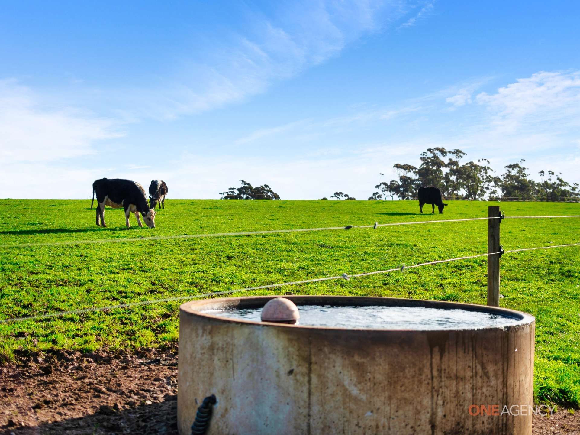 450 Irishtown Road, Irishtown For Sale by Farmbuy.com - image 13