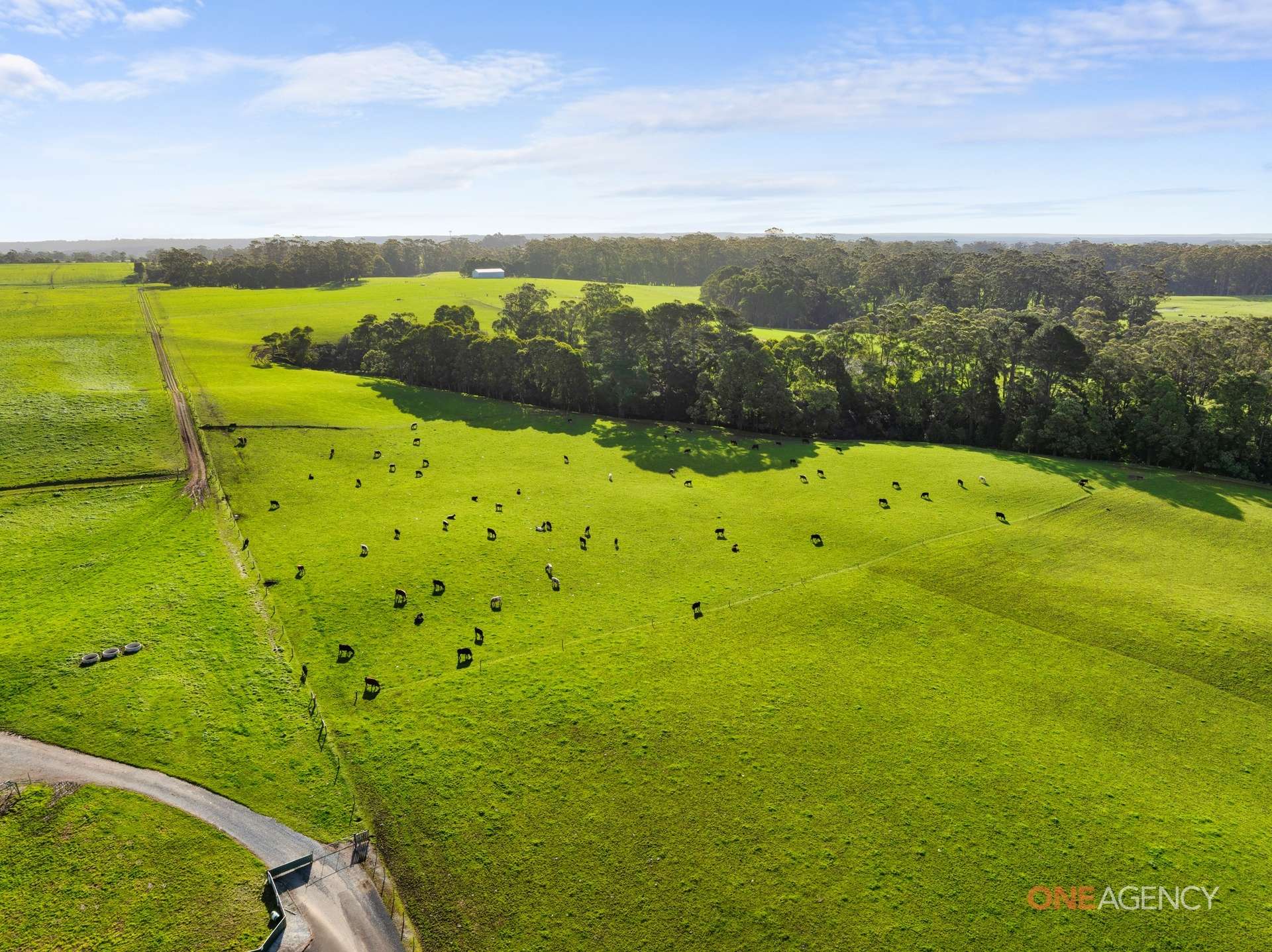 450 Irishtown Road, Irishtown For Sale by Farmbuy.com - image 14